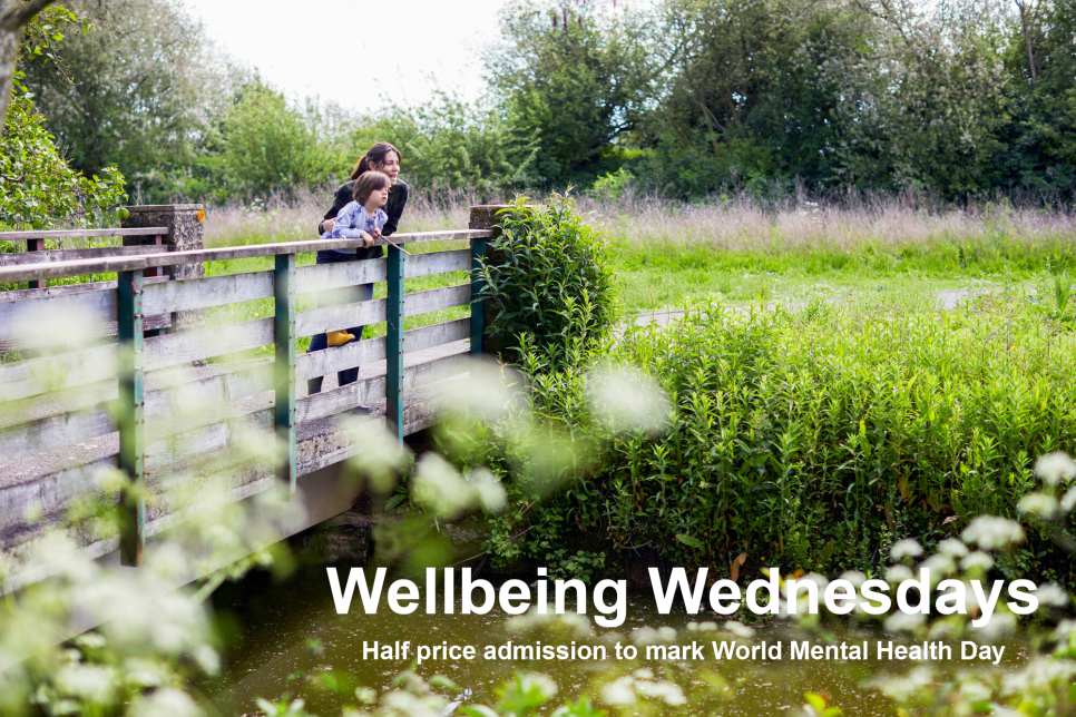Wellness Wednesday at London Wetland Centre 